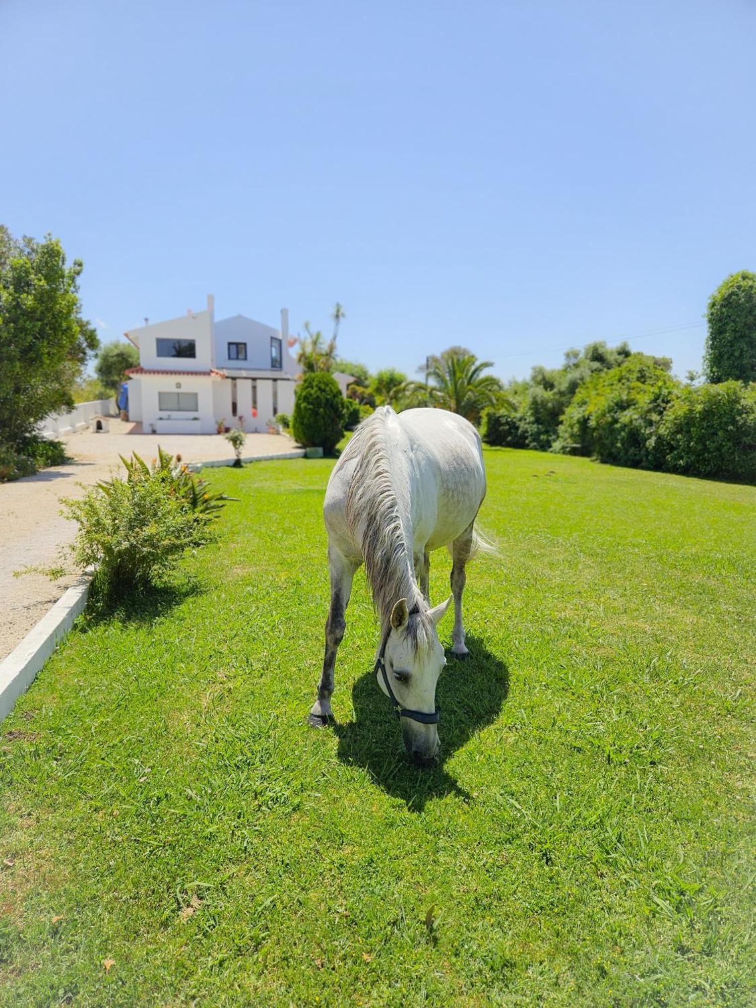 Casa Seahorses B Cottage Ericeira Exterior foto